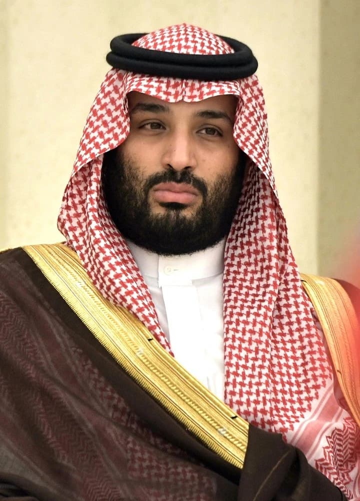 Mohammed bin Salman at the Russia–Saudi document-signing ceremony. The source image is a portrait taken during the event; it does not show him signing a specific document.
