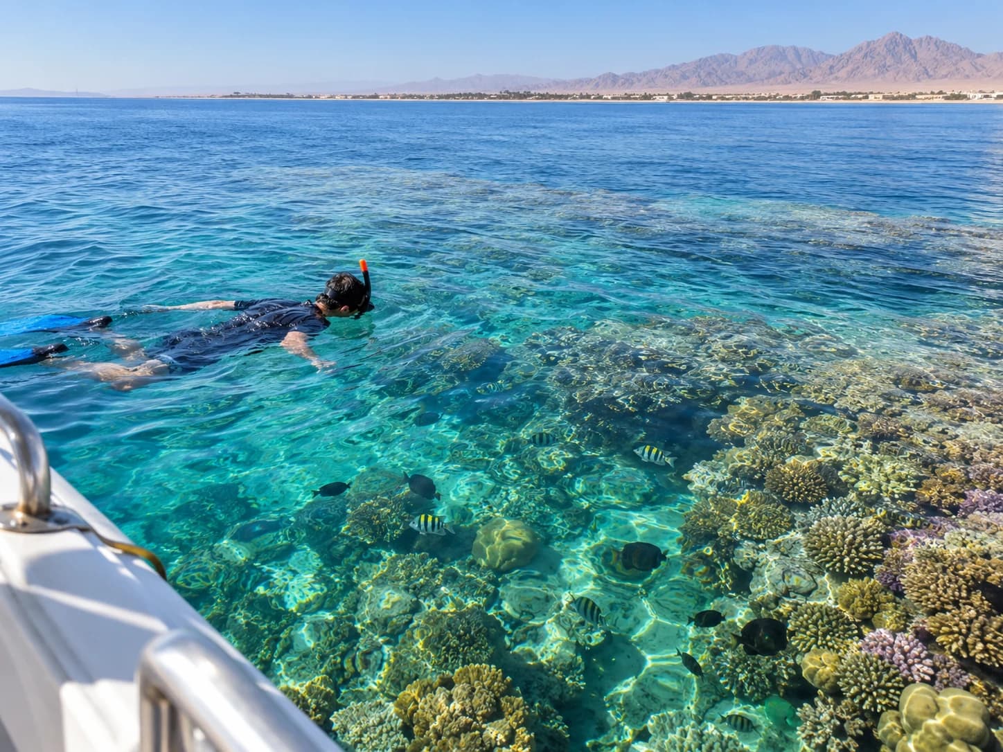 Illustrative snorkeling scene over a Red Sea reef near a coastal boat