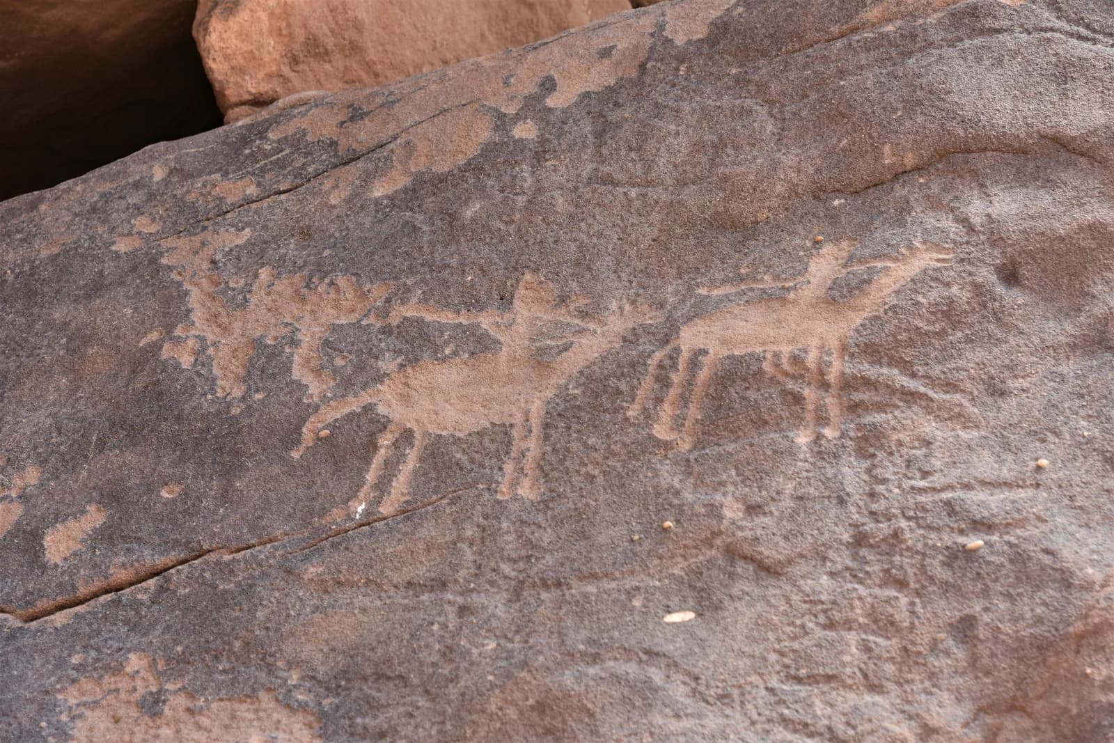 Figures carved into rock at Jubbah in Hail