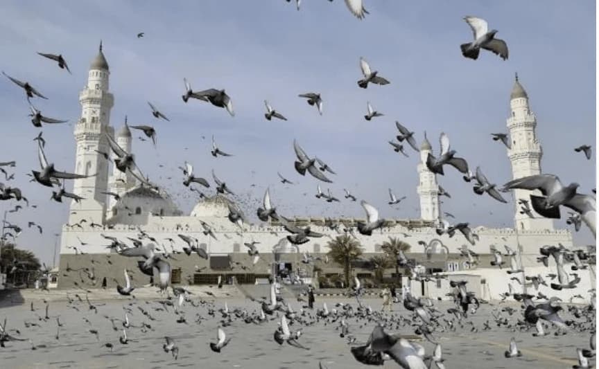 Quba Mosque — photographed view